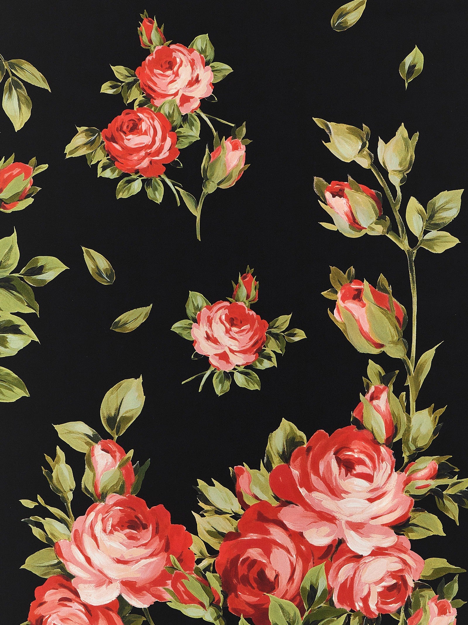 Dolce & Gabbana - nan - Black - Scarf