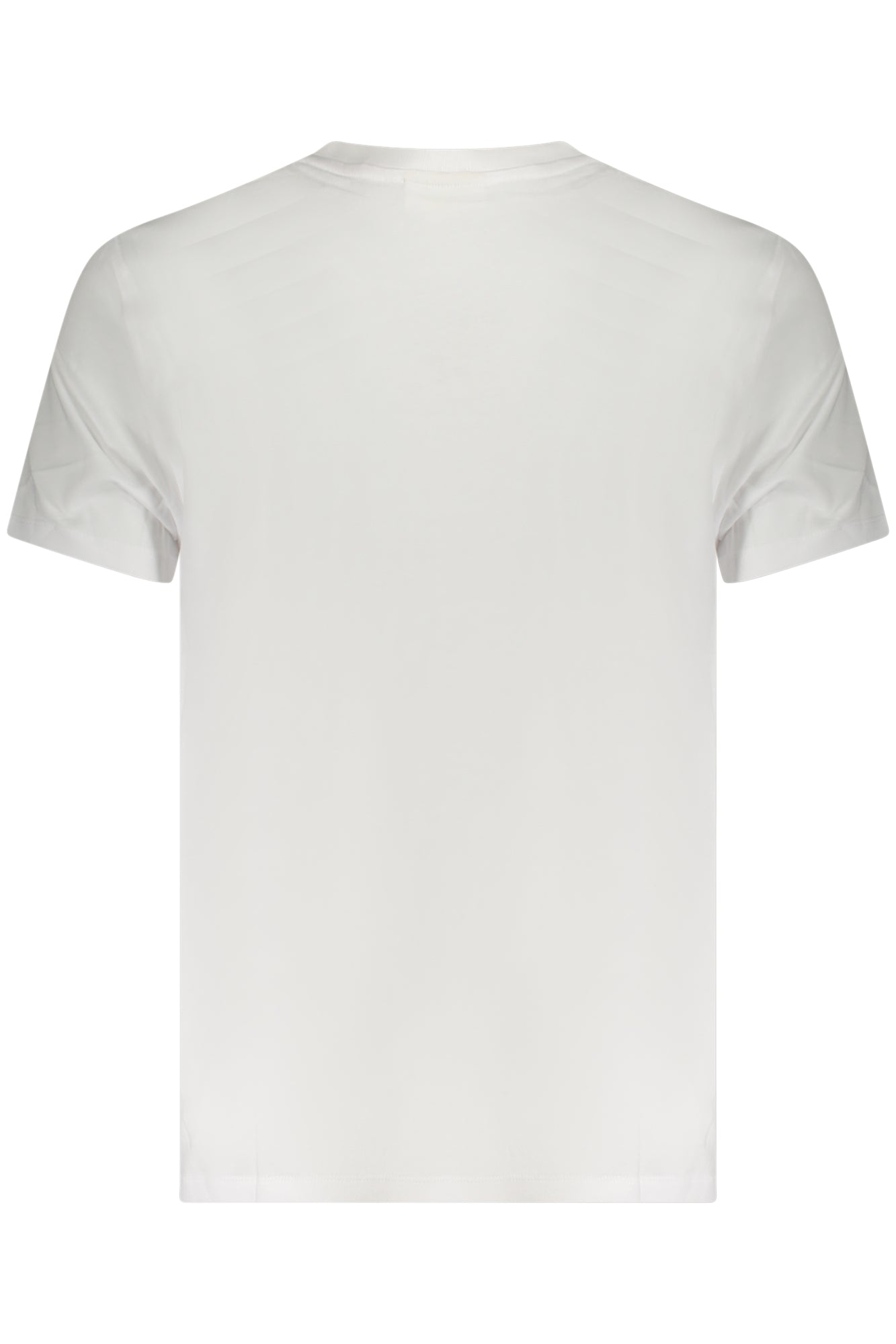 CALVIN KLEIN - Man - T-shirt