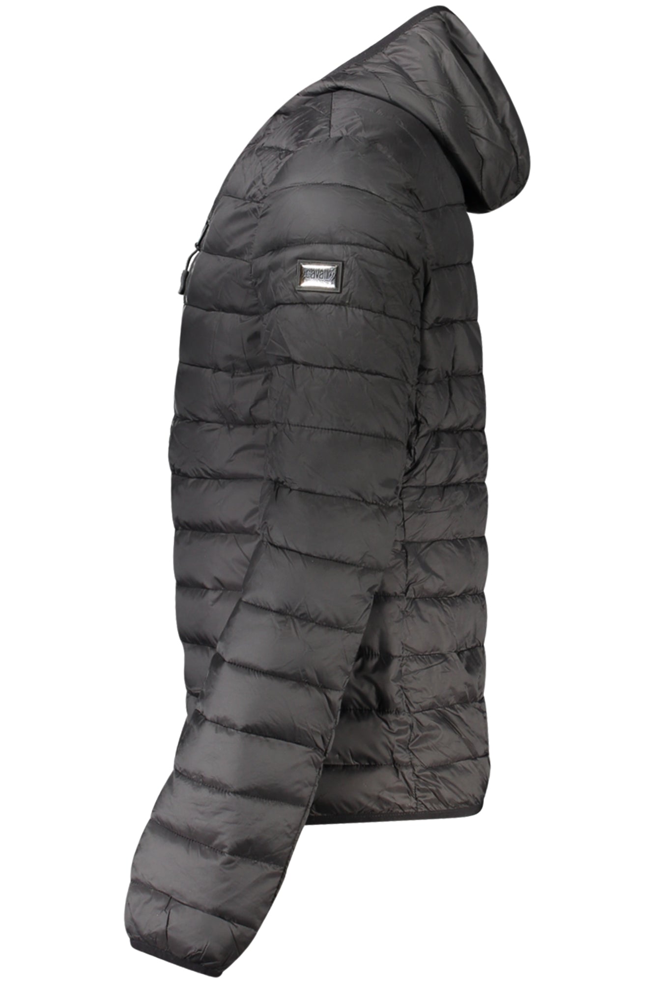 CAVALLI CLASS - Man - Jacket