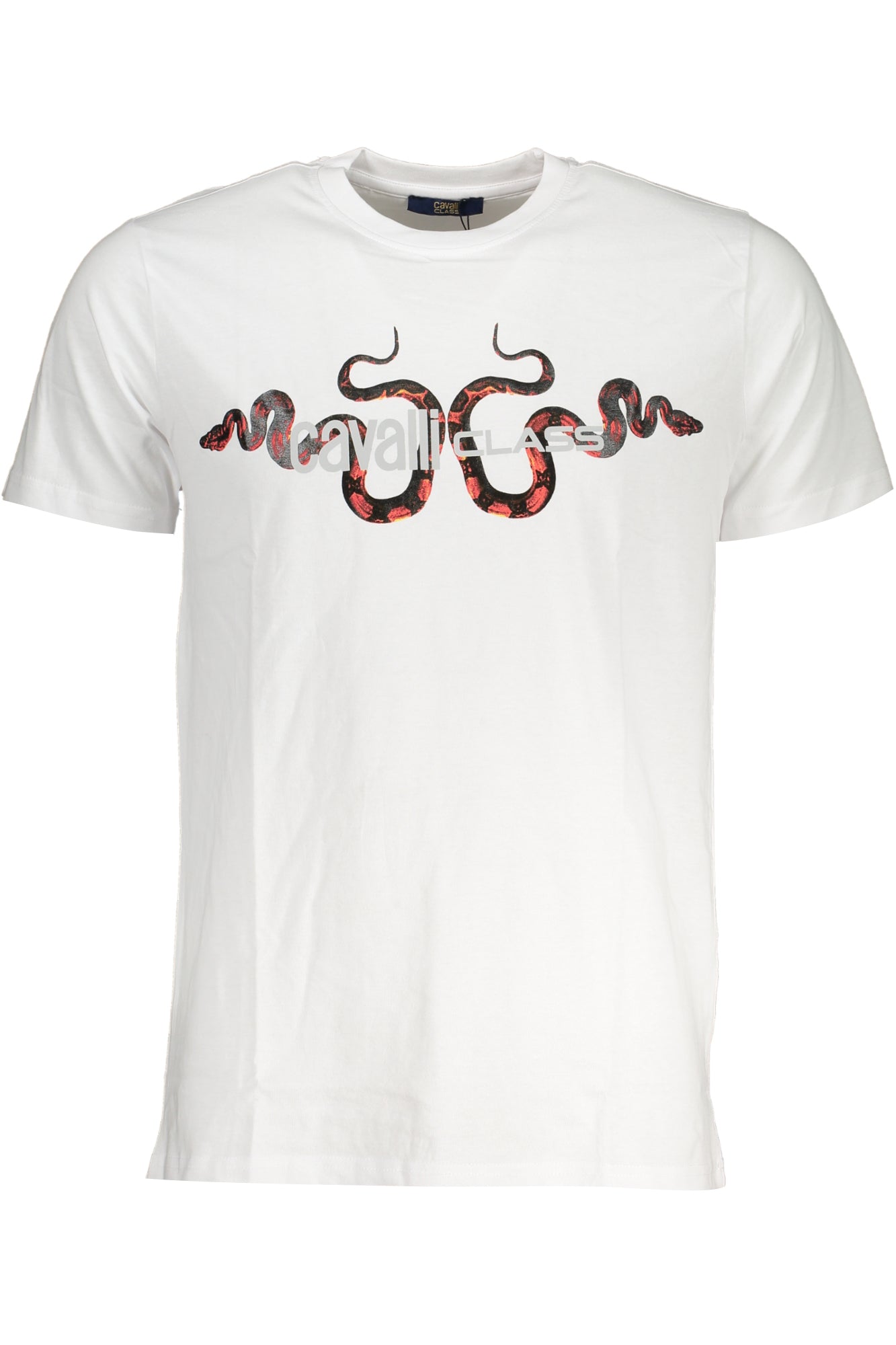 CAVALLI CLASS - Man - T-shirt