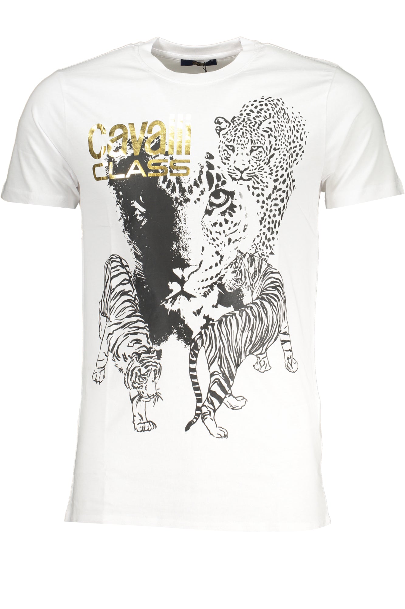 CAVALLI CLASS - Man - T-shirt