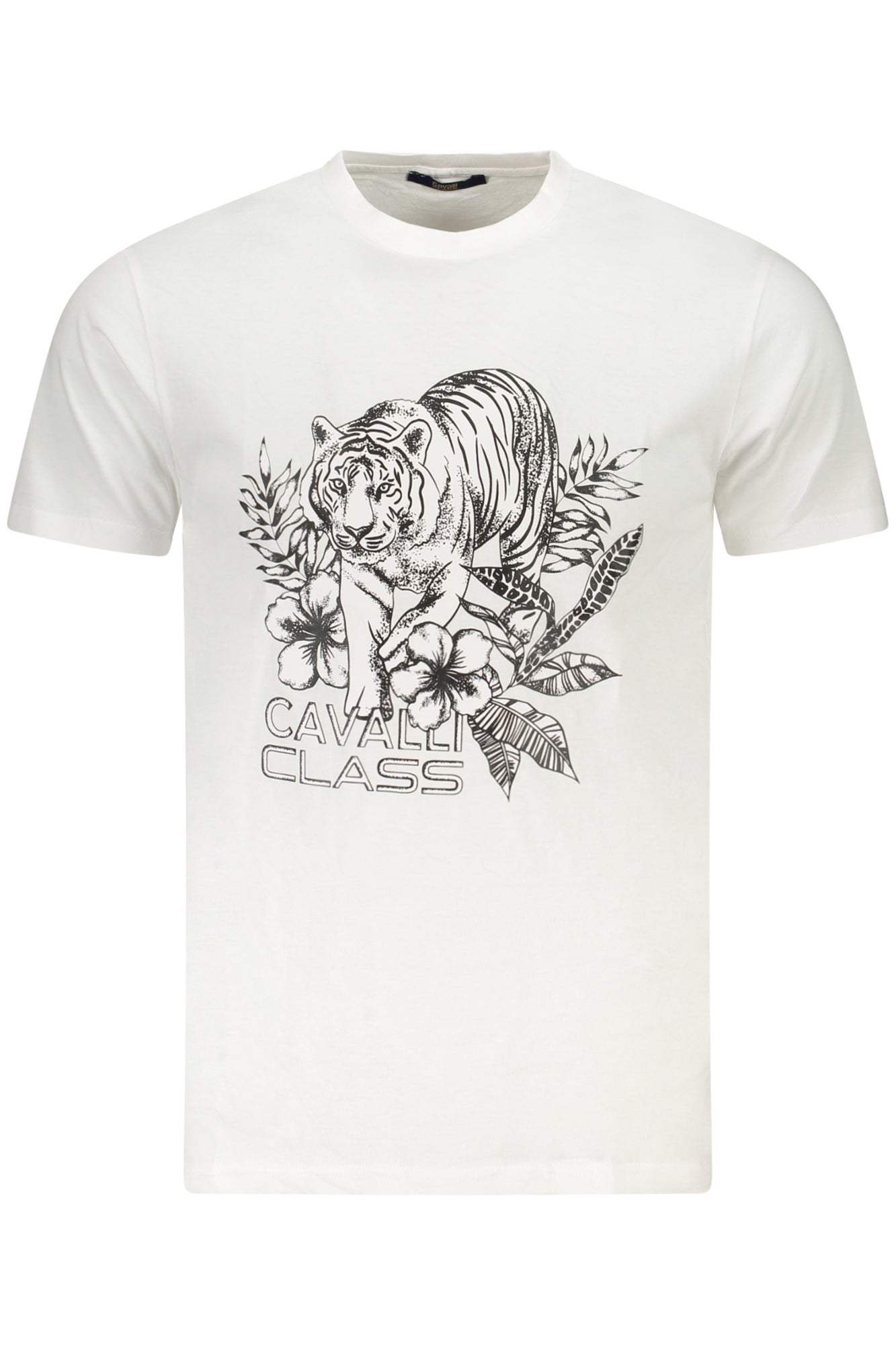 CAVALLI CLASS - Man - T-shirt