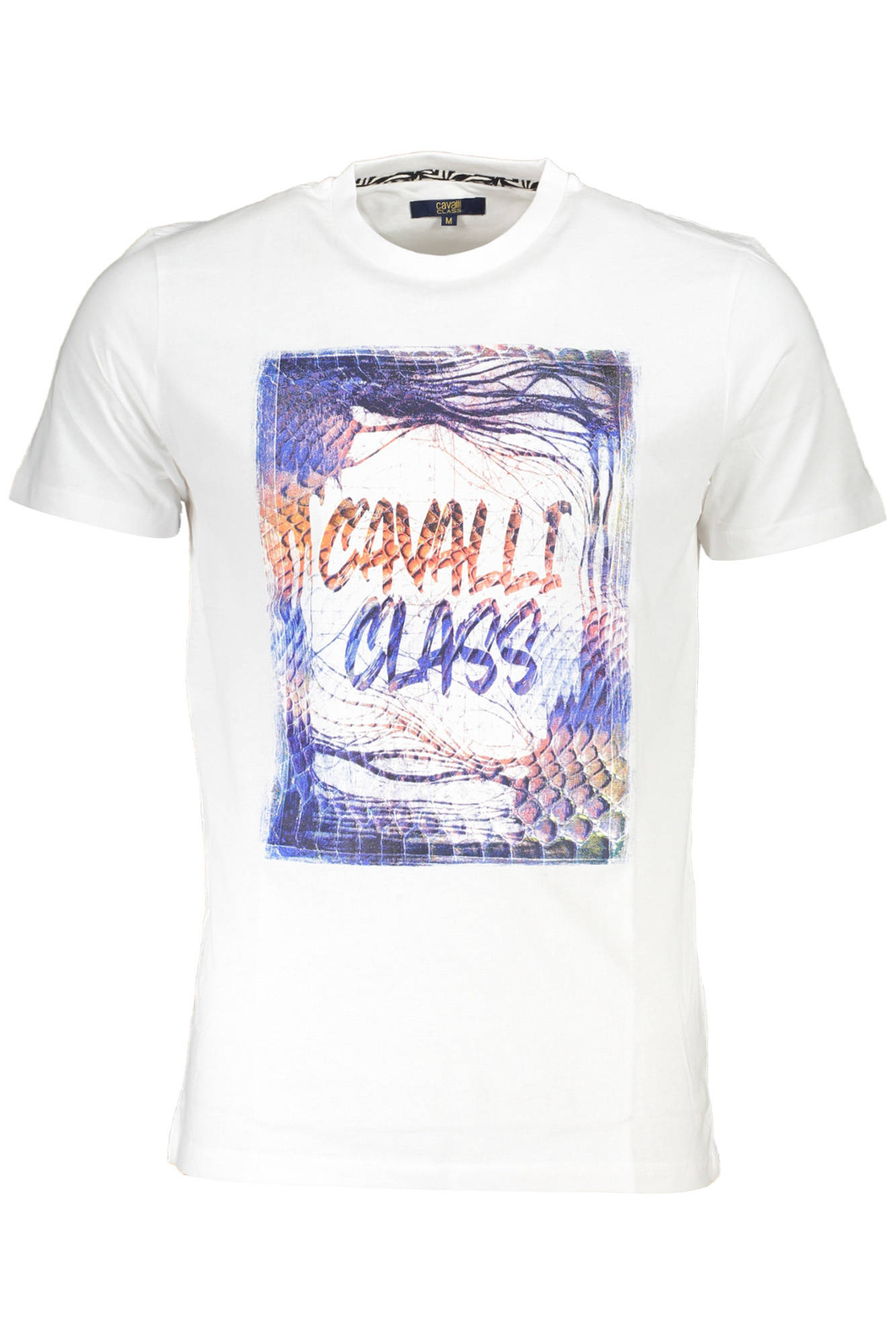 CAVALLI CLASS - Man - T-shirt