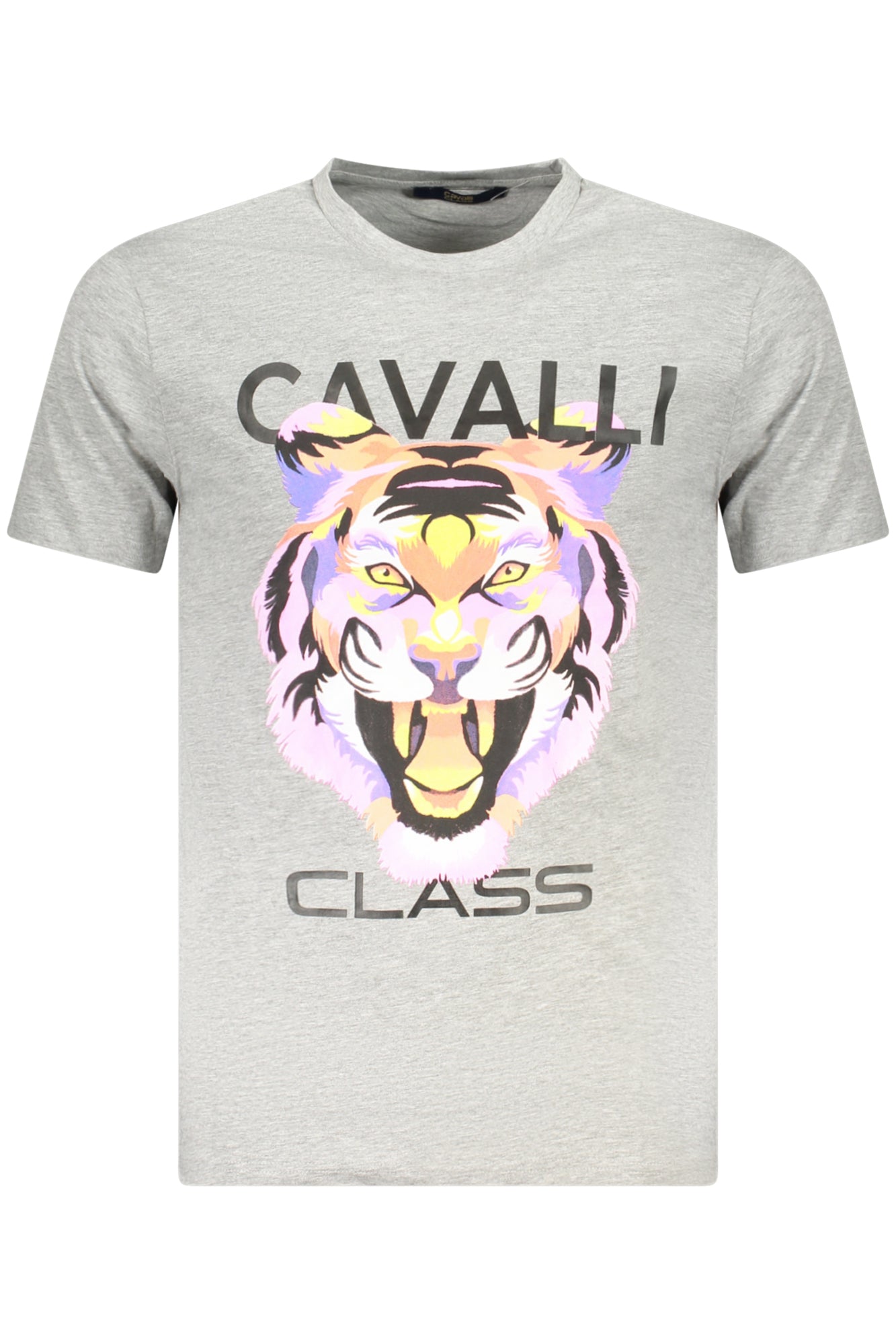 CAVALLI CLASS - Man - T-shirt