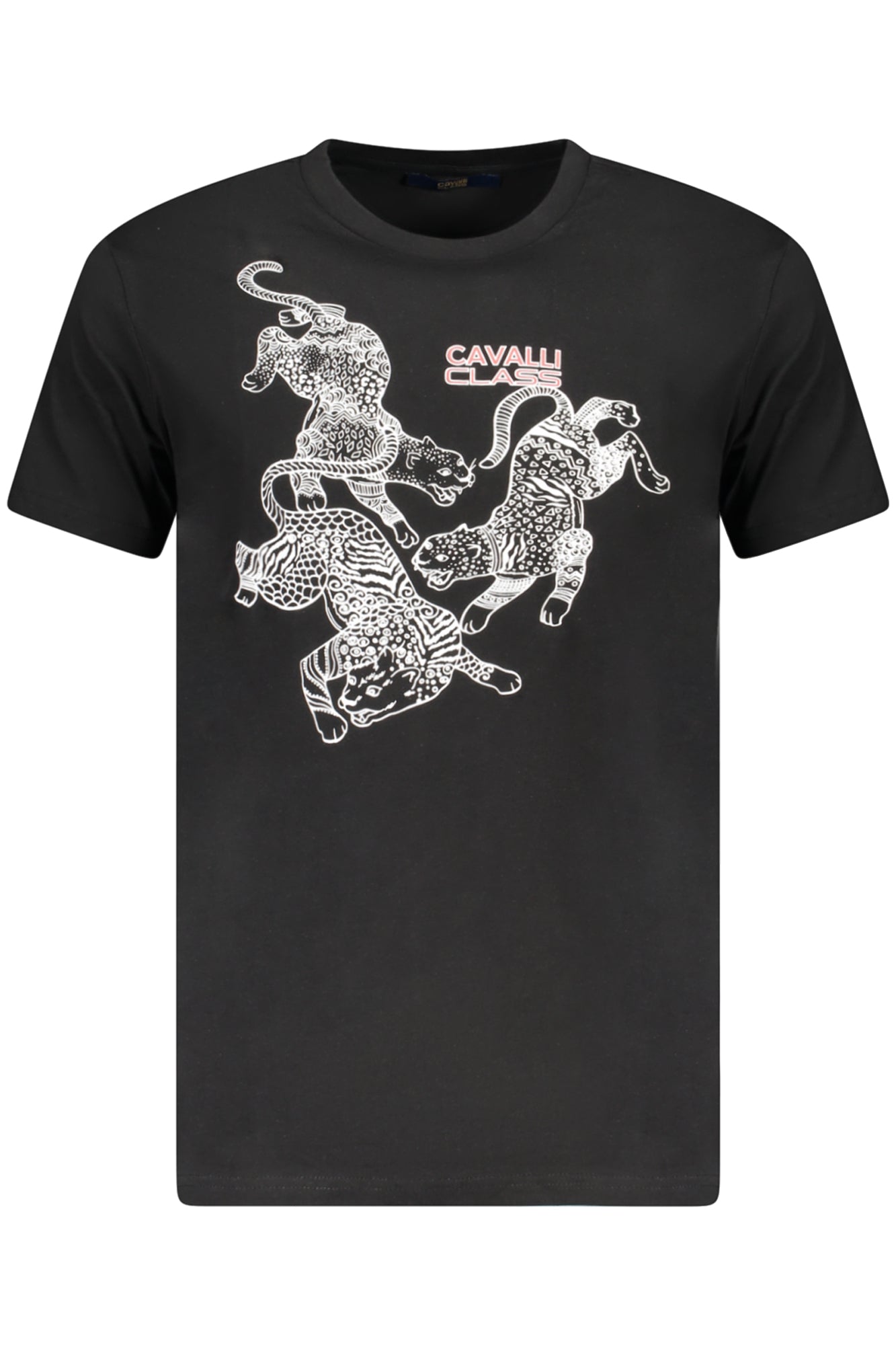 CAVALLI CLASS - Man - T-shirt