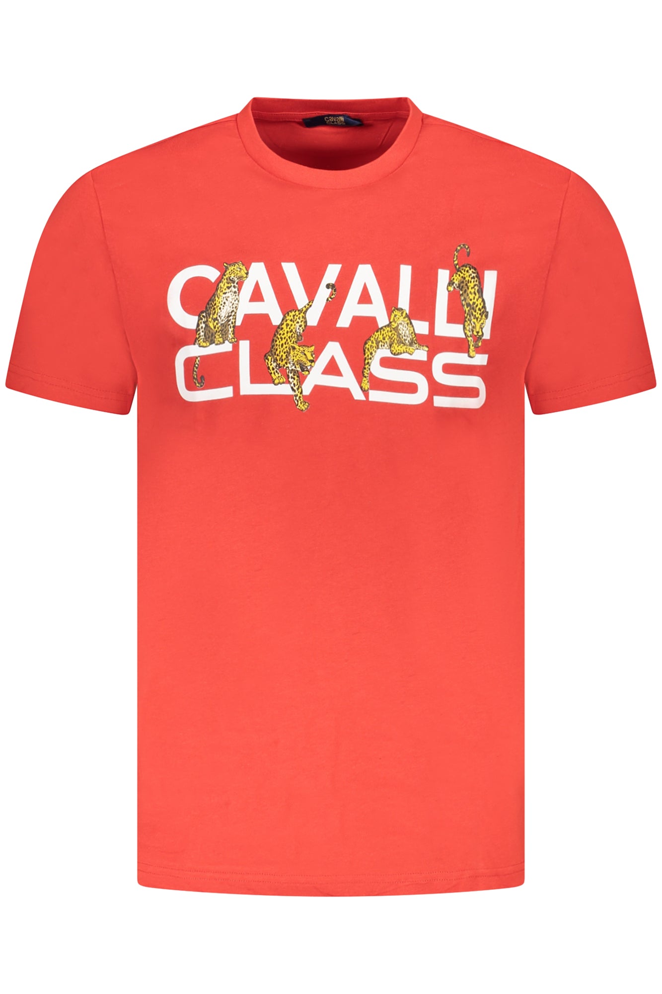 CAVALLI CLASS - Man - T-shirt