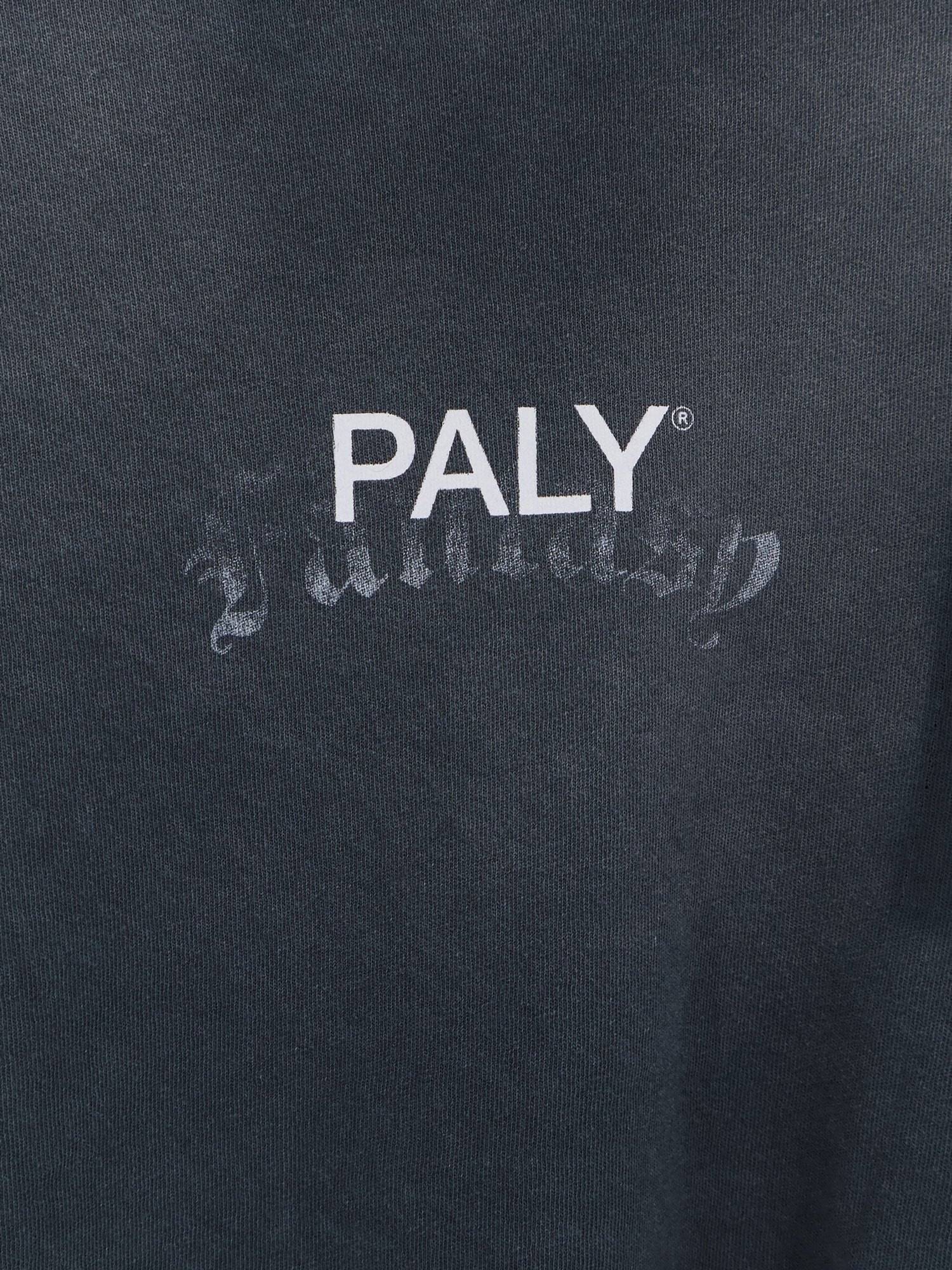 PALY - Man - Grey - T-shirt