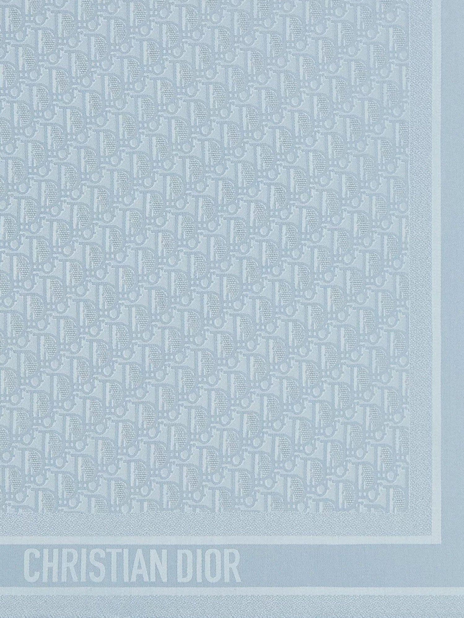 Dior - Woman - Blue - Scarf