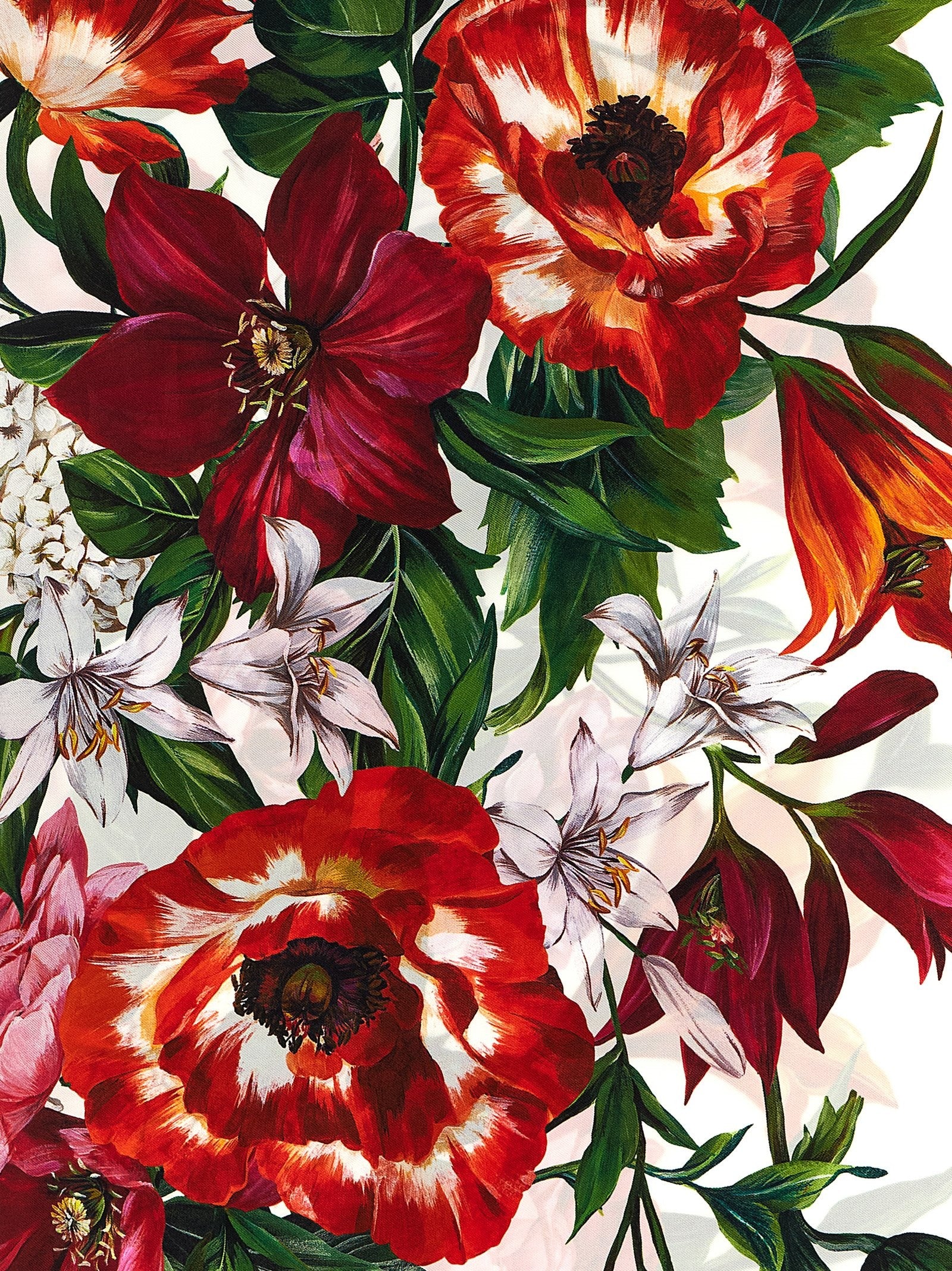 Dolce & Gabbana - nan - Multicolor - Scarf