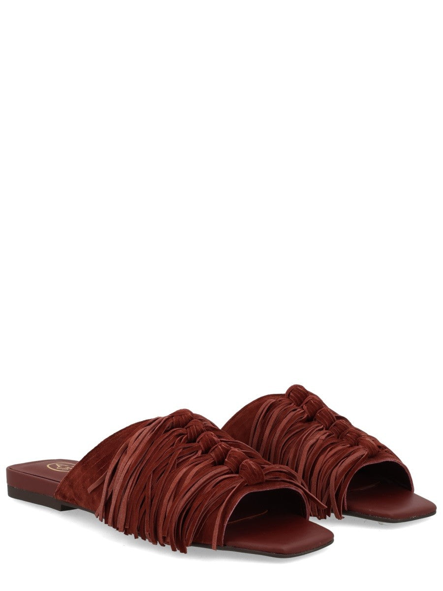 Ash - Woman - Brown - Flat