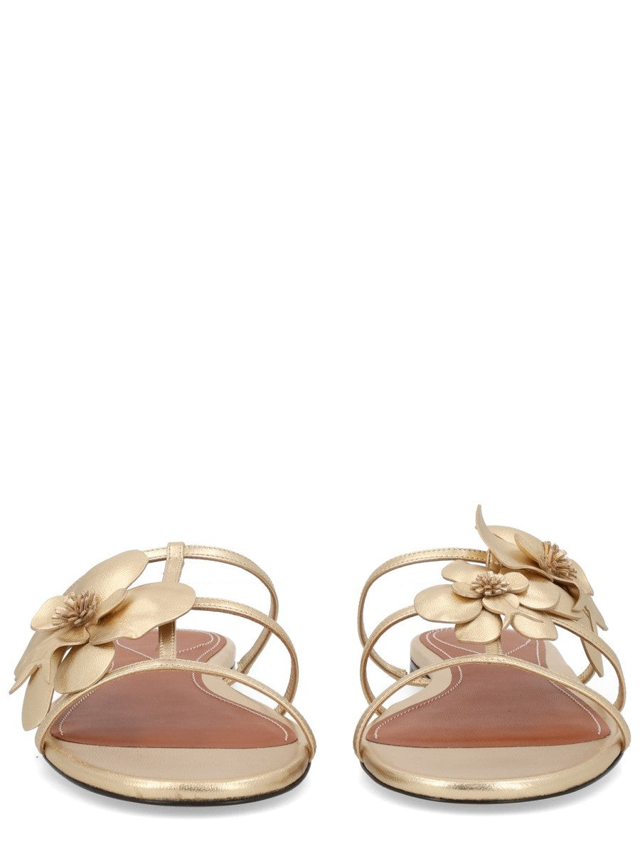 ZIMMERMANN - Woman - Gold - Sandal