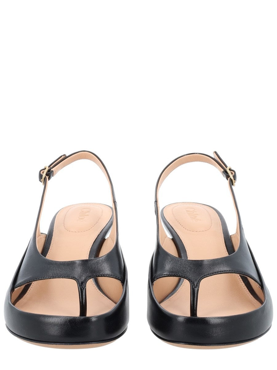 CHLOÉ - Woman - Black - Heel