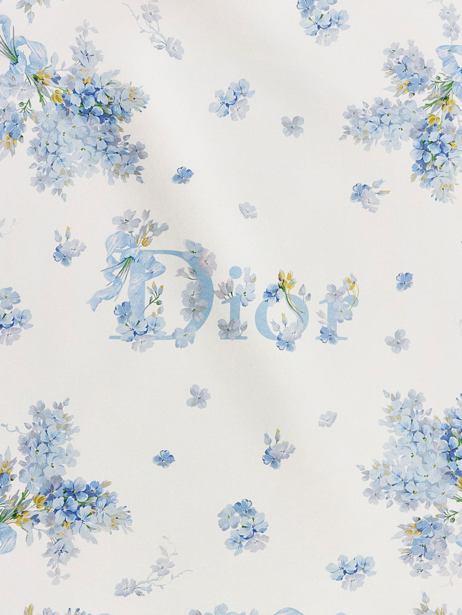 Dior - Woman - Blue - Scarf