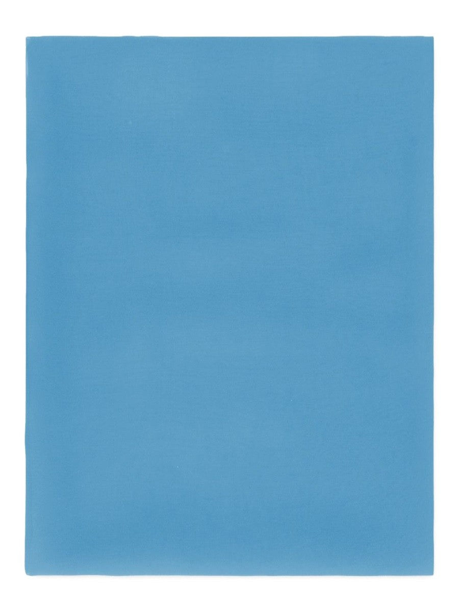 alberta ferretti - Woman - Blue - Scarf