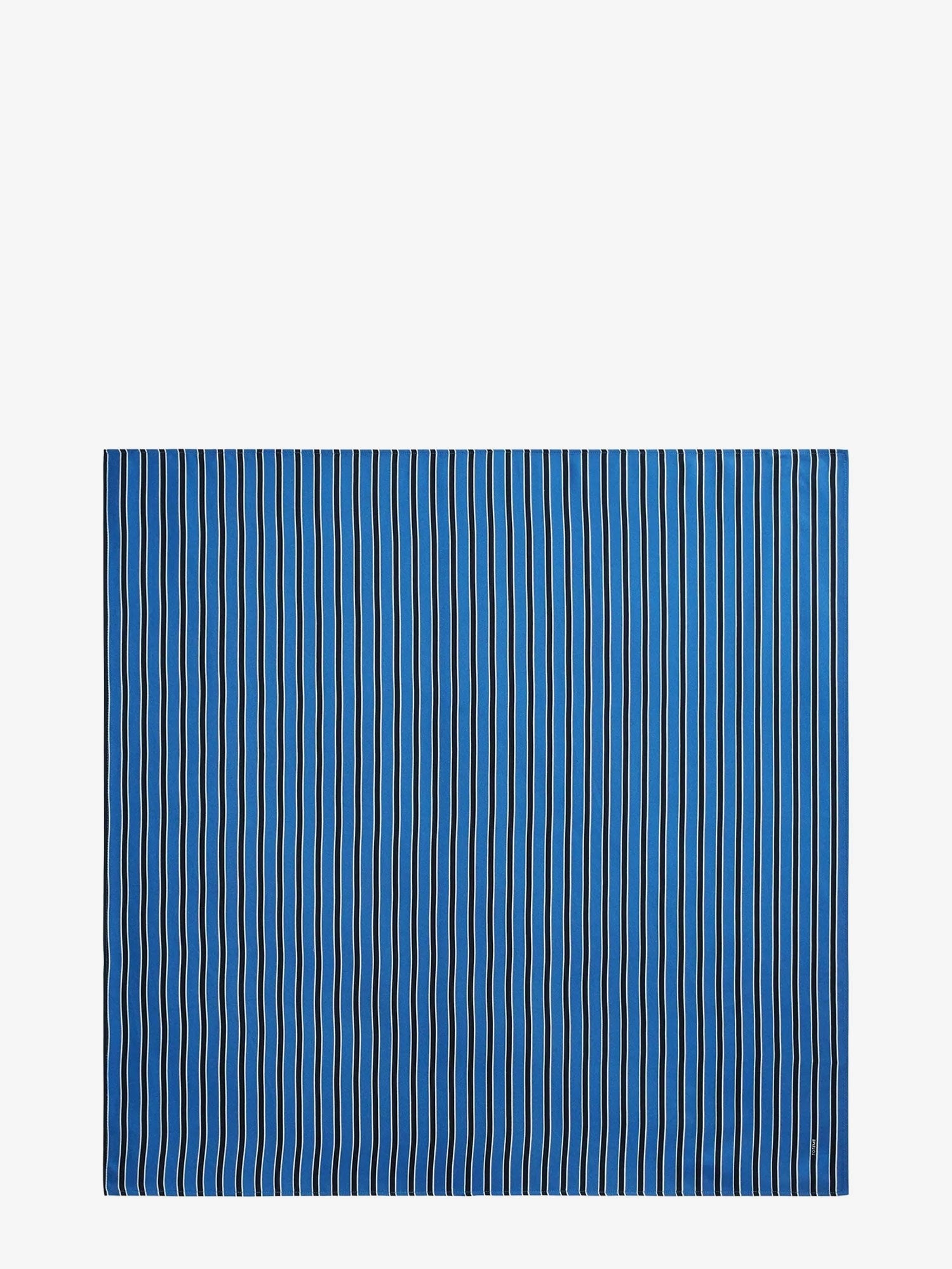 TOTEME - Woman - Bluenavy - Scarf