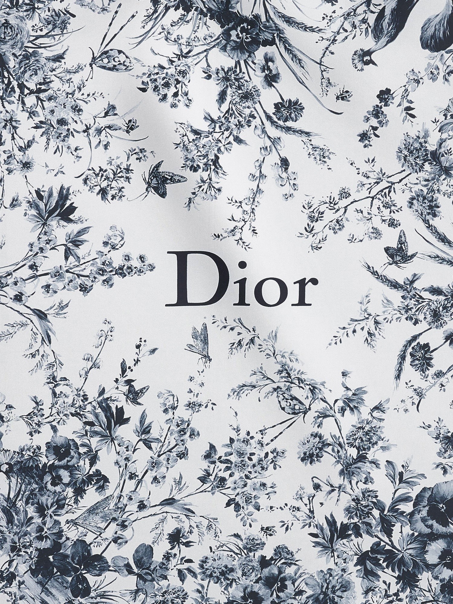 Dior - Woman - Blue - Scarf