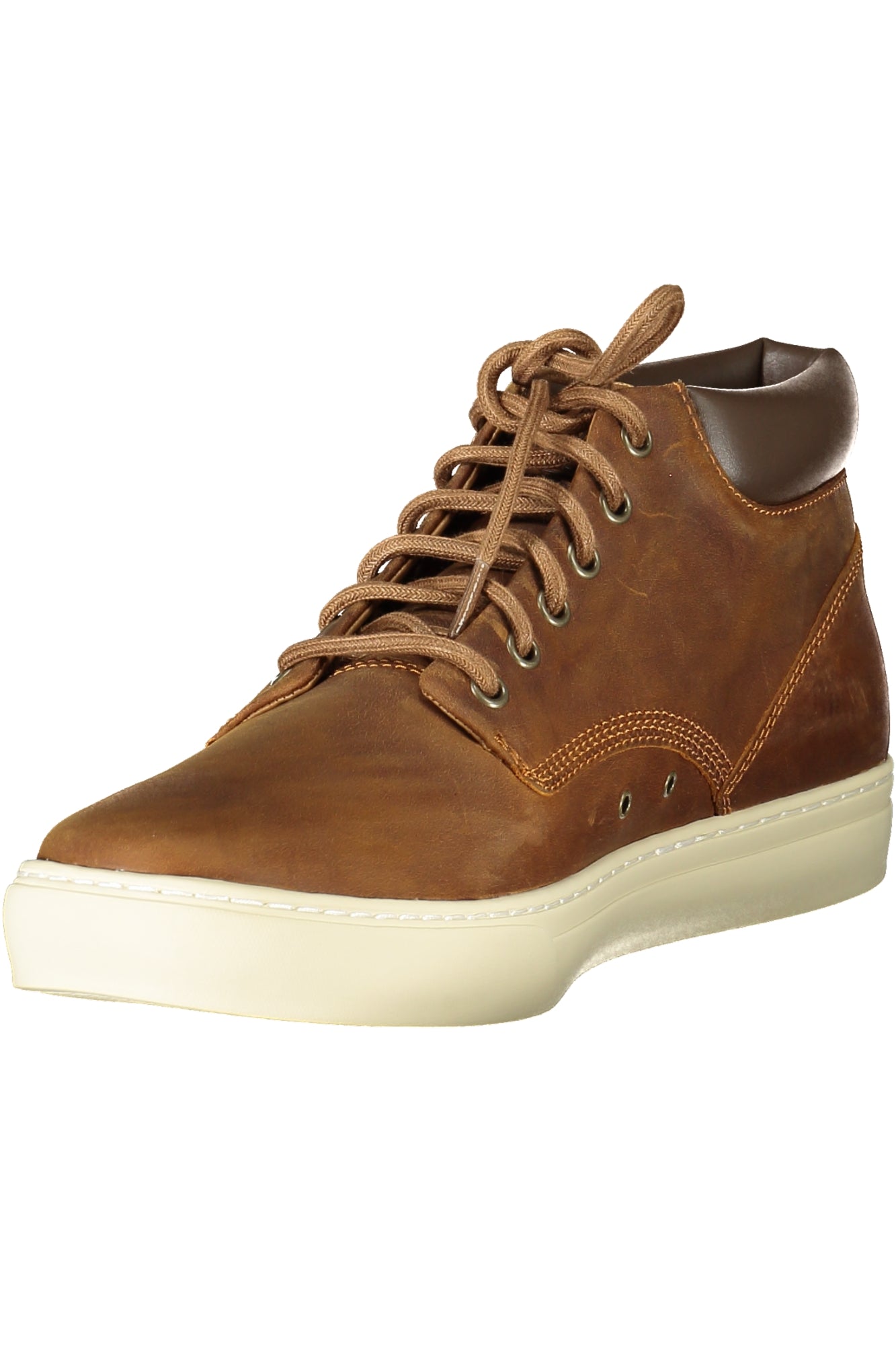 TIMBERLAND - Man - Sneaker