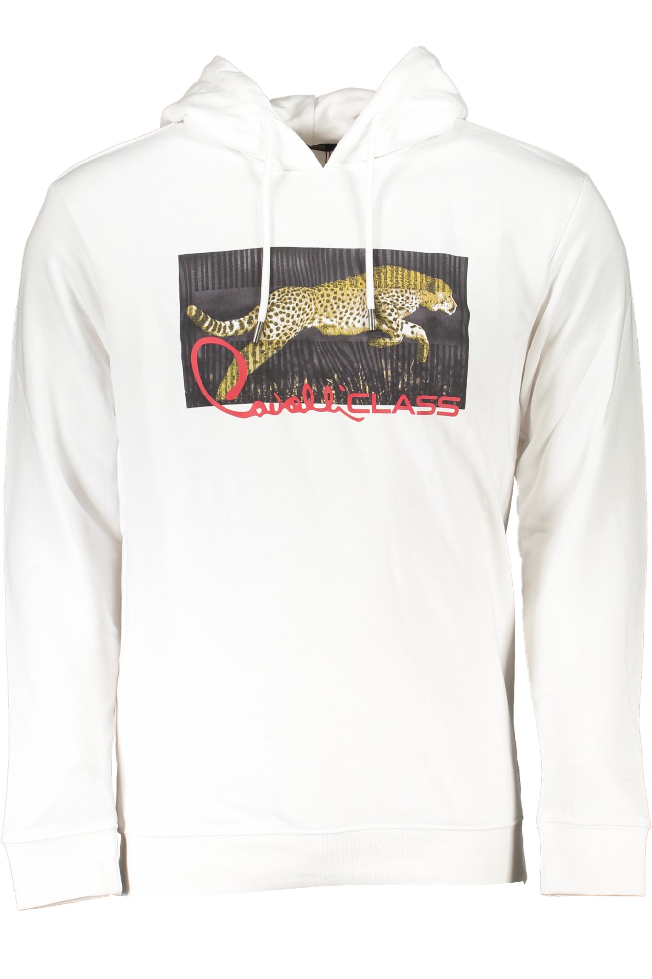 CAVALLI CLASS - Man - Sweatshirt
