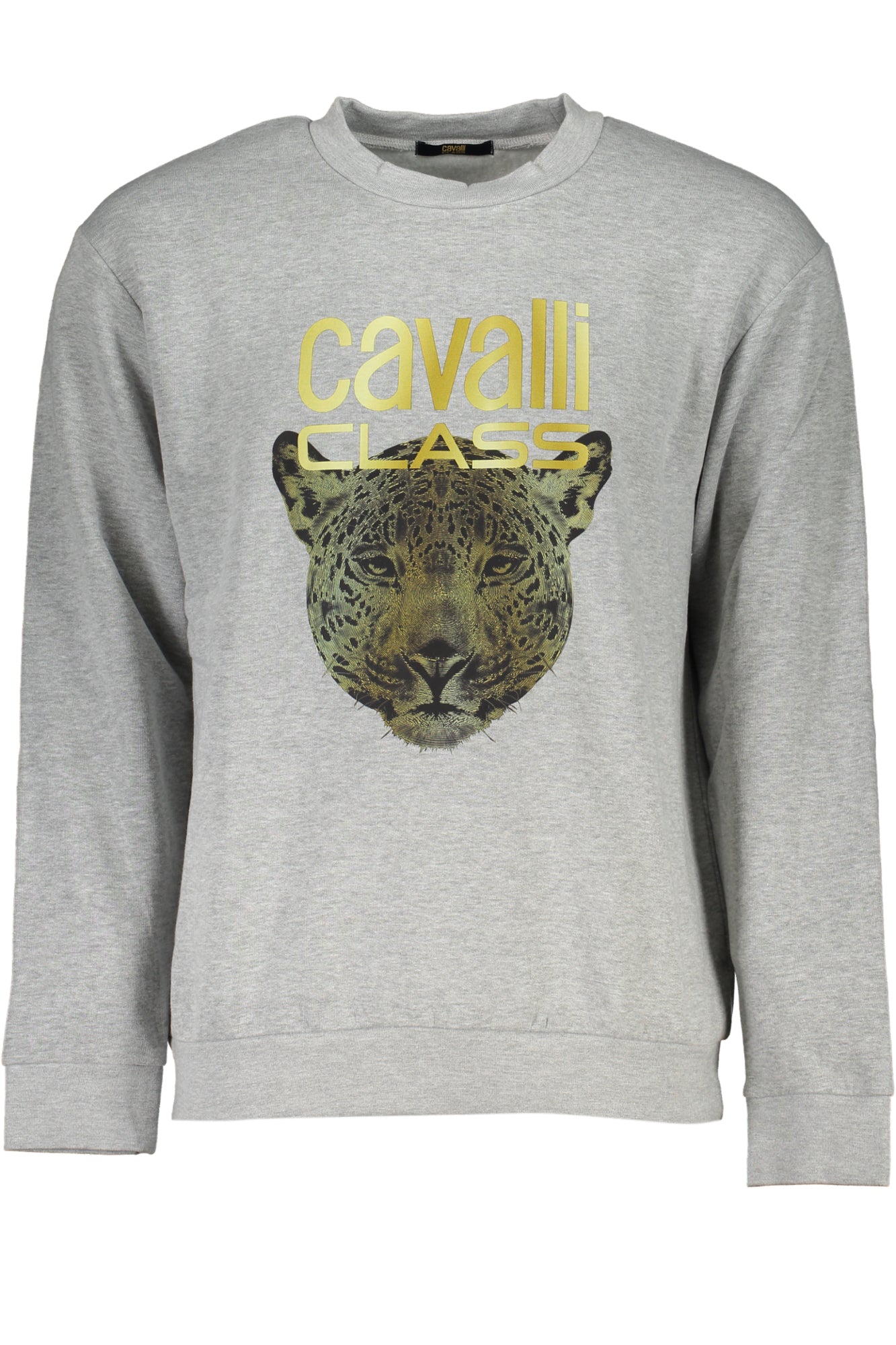 CAVALLI CLASS - Man - Sweatshirt