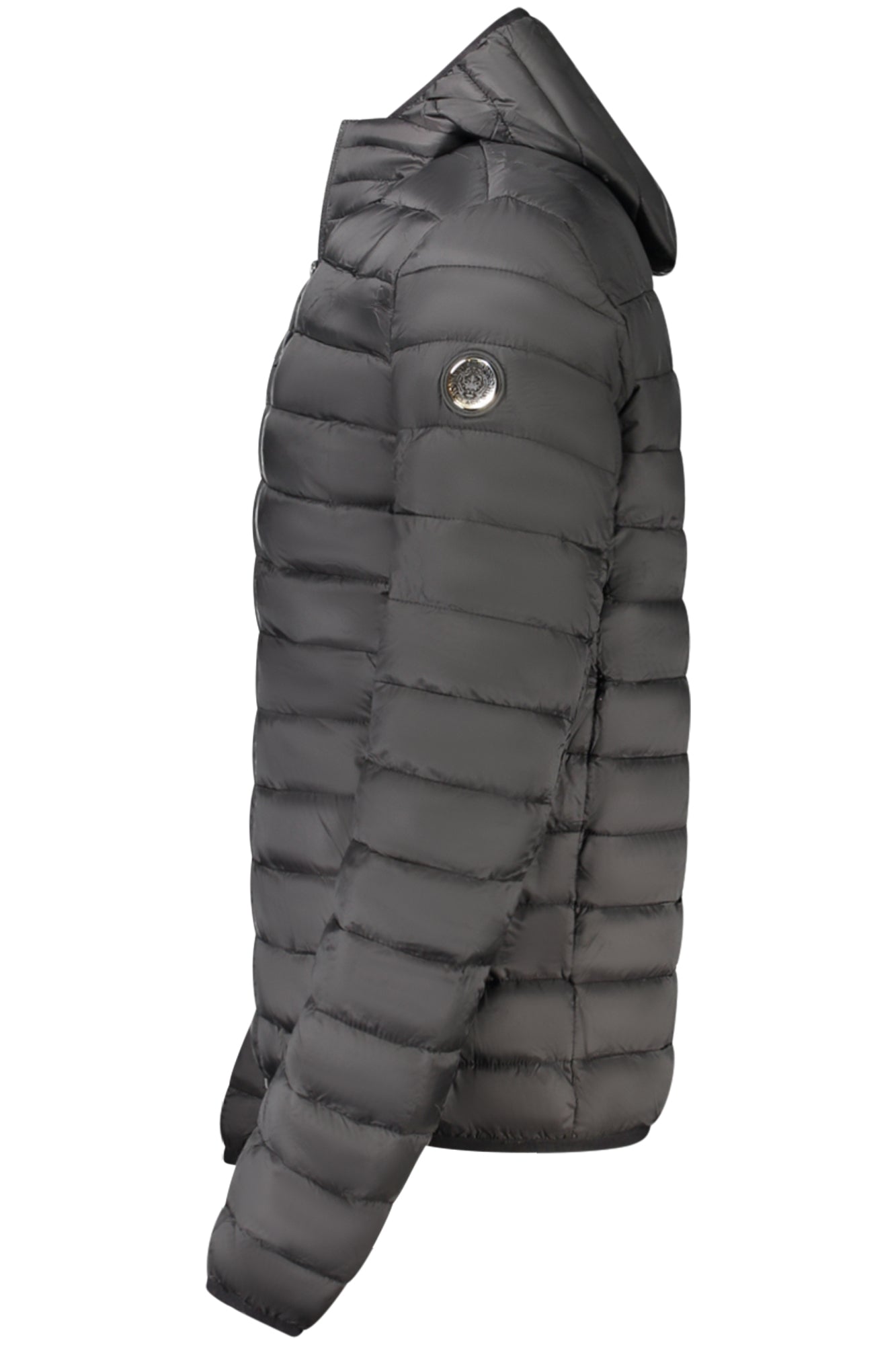 CAVALLI CLASS - Man - Jacket