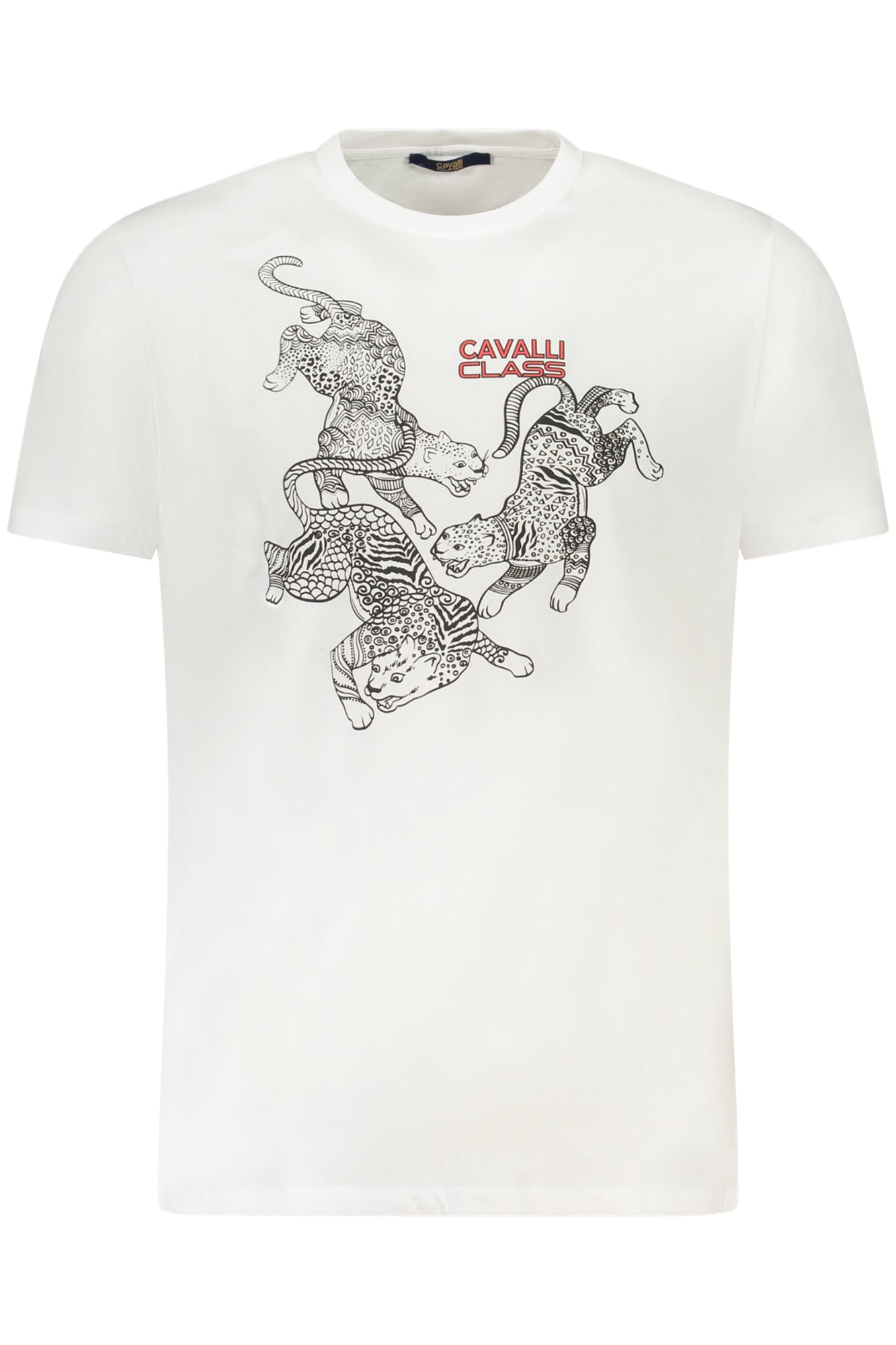 CAVALLI CLASS - Man - T-shirt