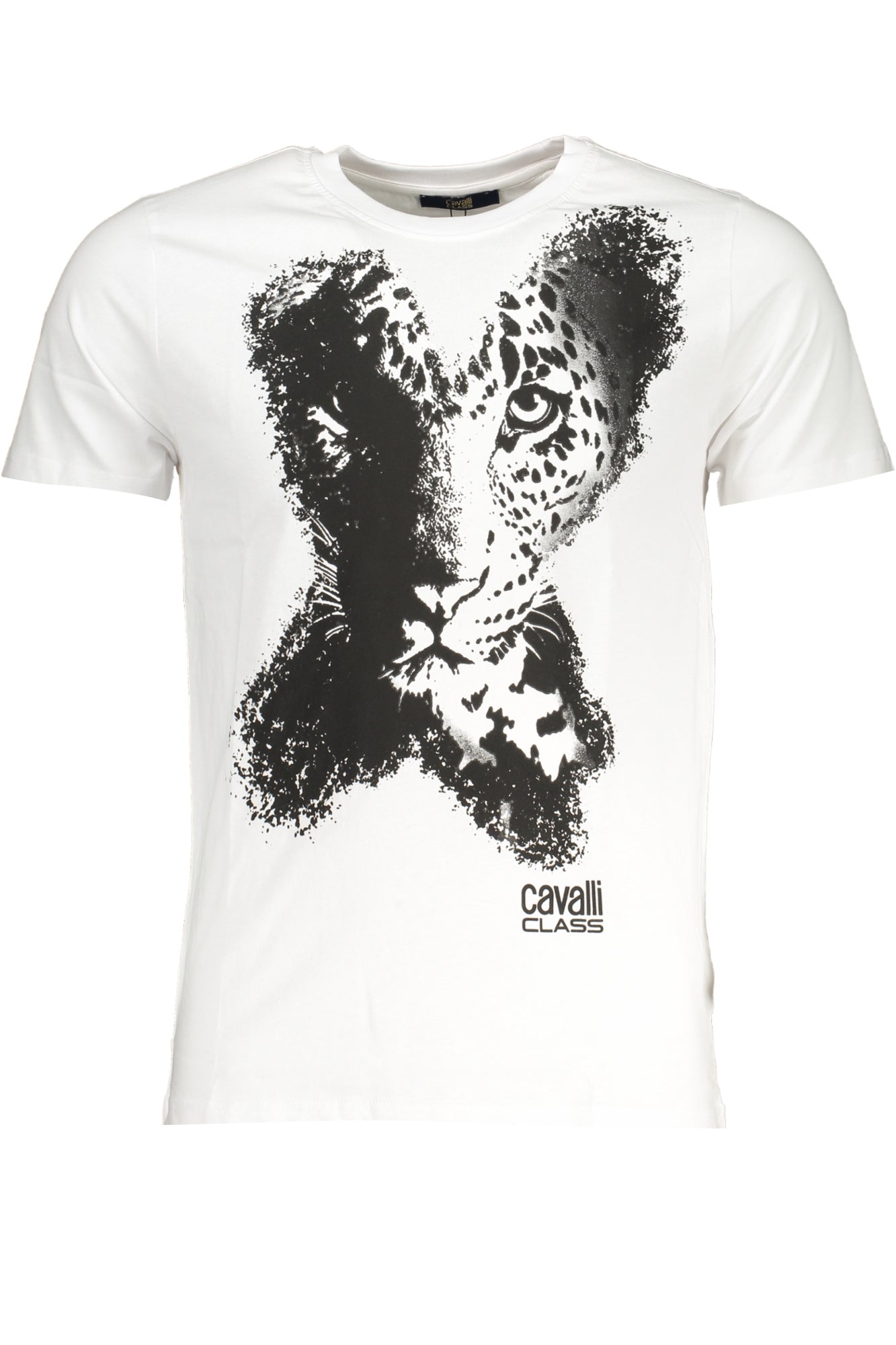CAVALLI CLASS - Man - T-shirt