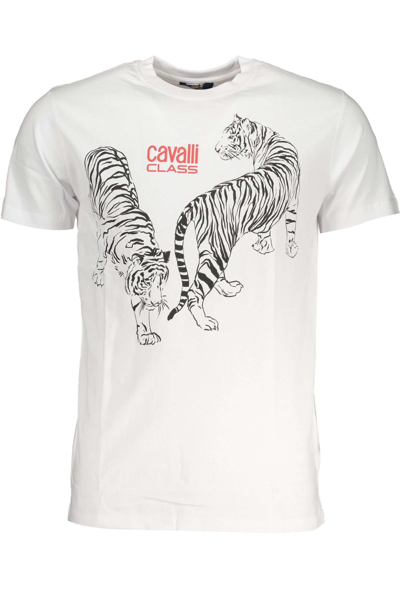 CAVALLI CLASS - Man - T-shirt