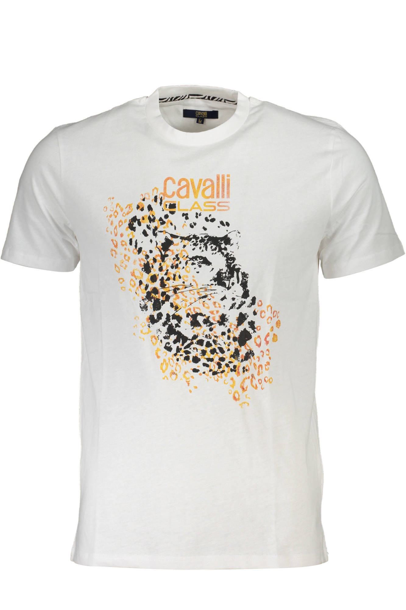 CAVALLI CLASS - Man - T-shirt