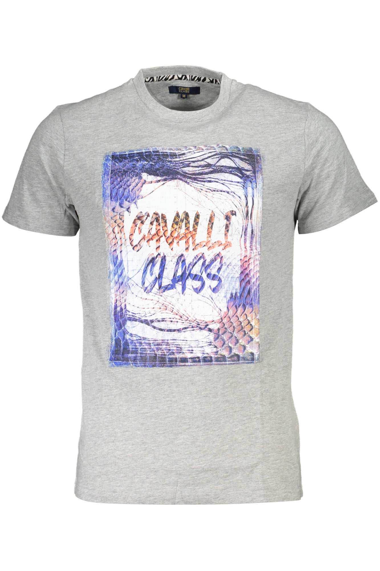 CAVALLI CLASS - Man - T-shirt
