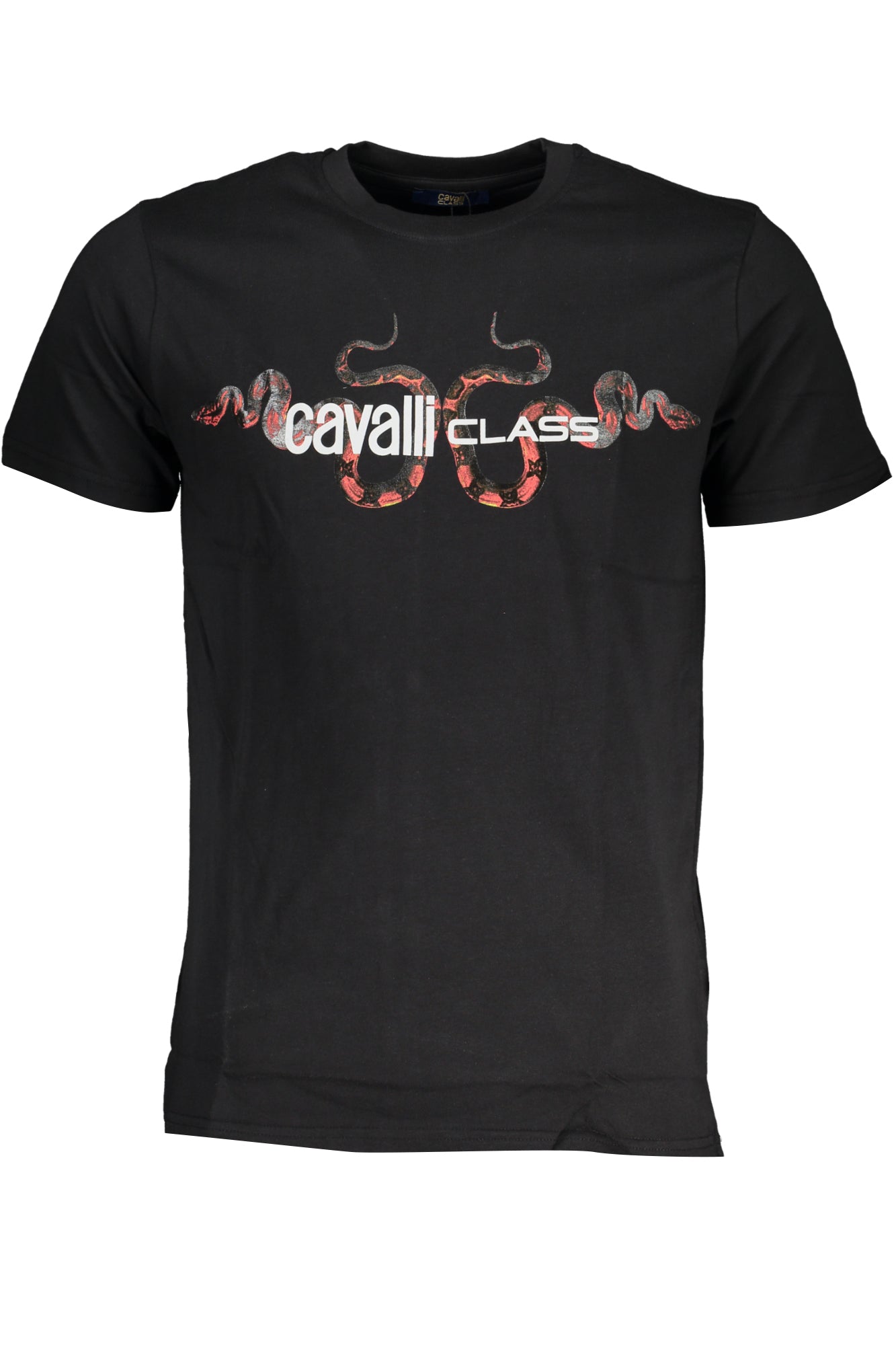 CAVALLI CLASS - Man - T-shirt