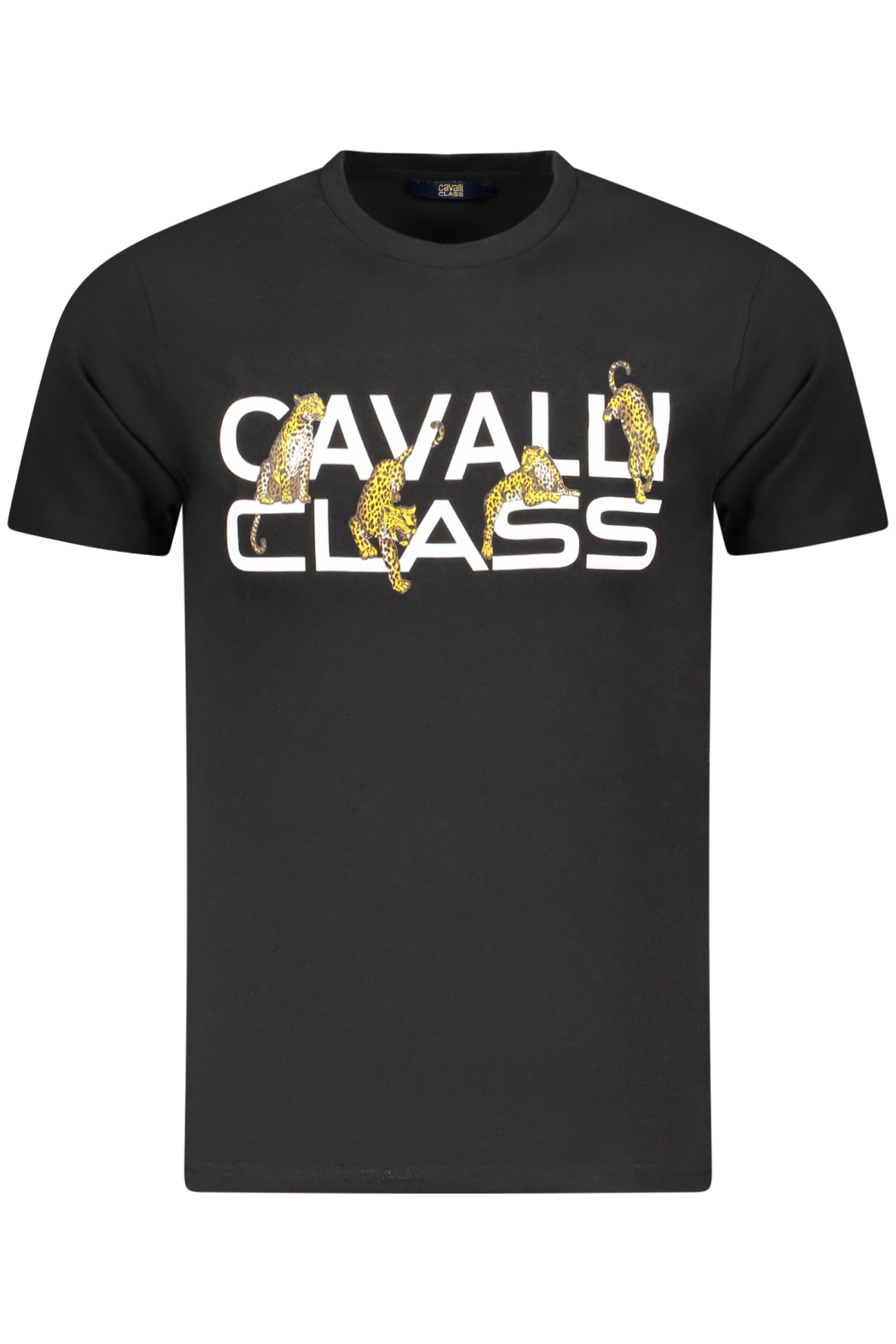 CAVALLI CLASS - Man - T-shirt