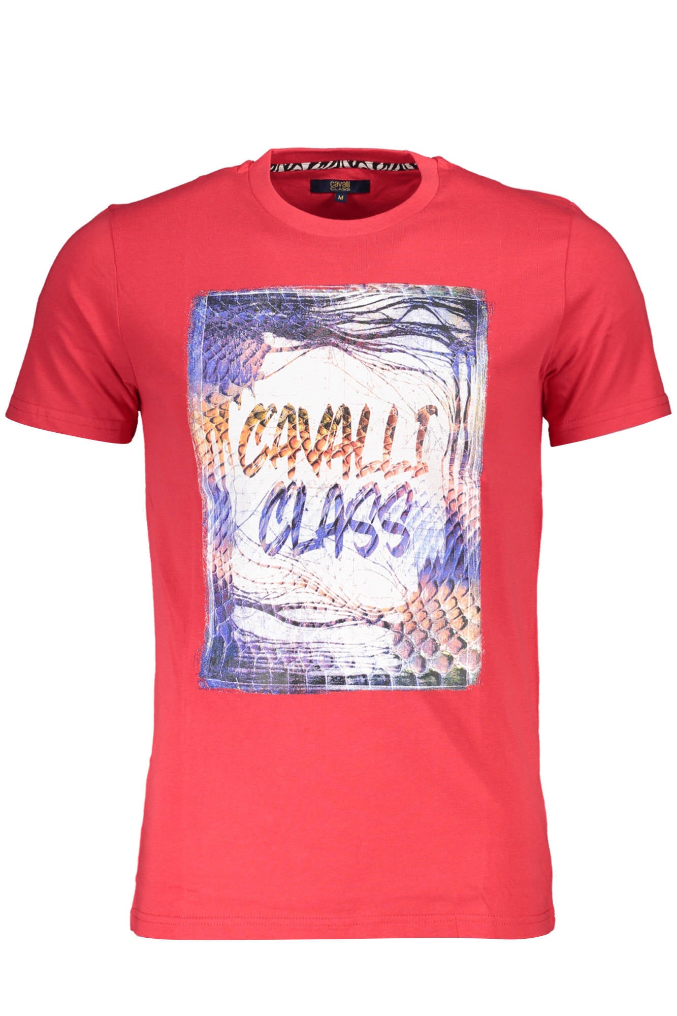 CAVALLI CLASS - Man - T-shirt