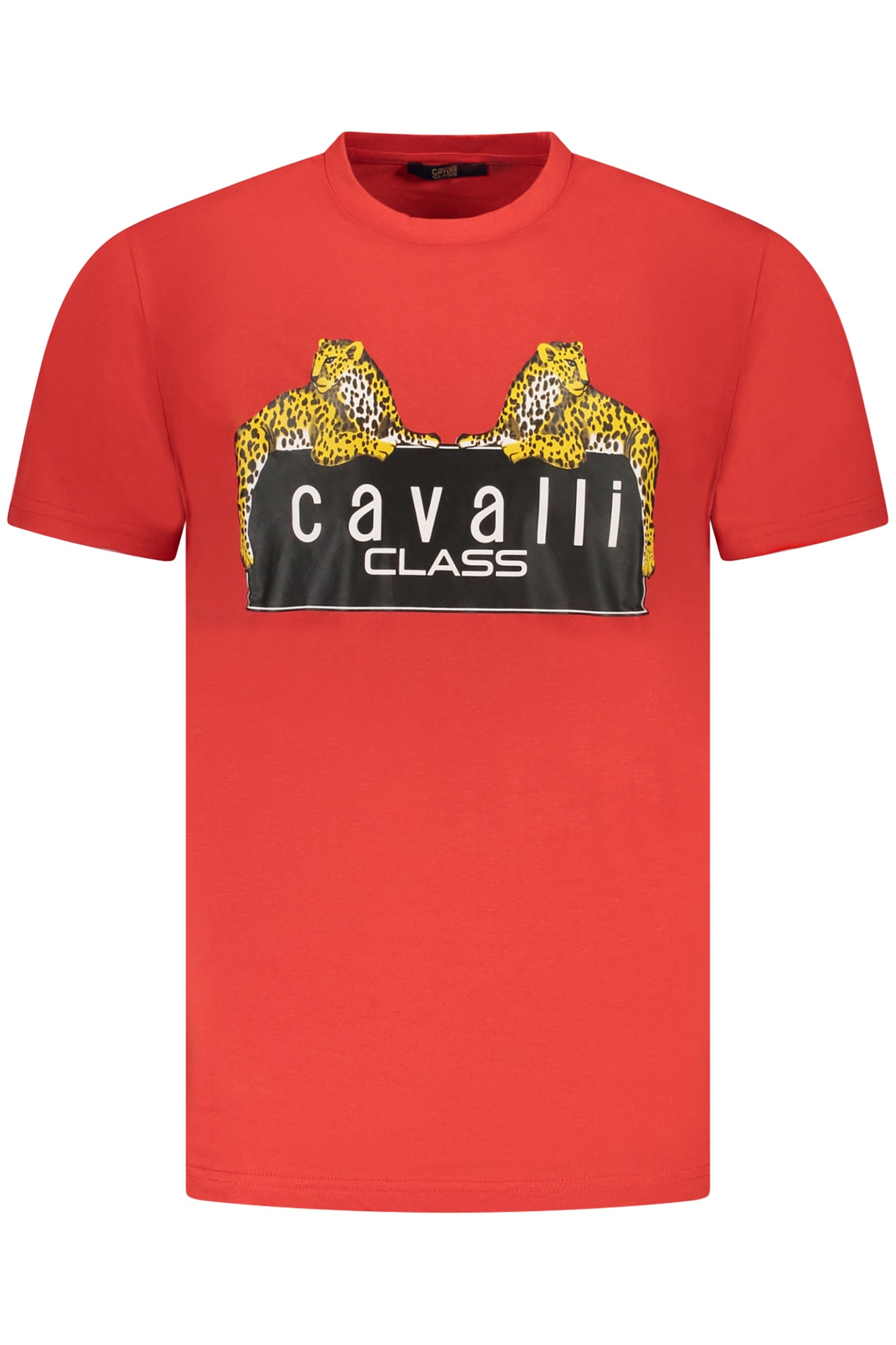CAVALLI CLASS - Man - T-shirt