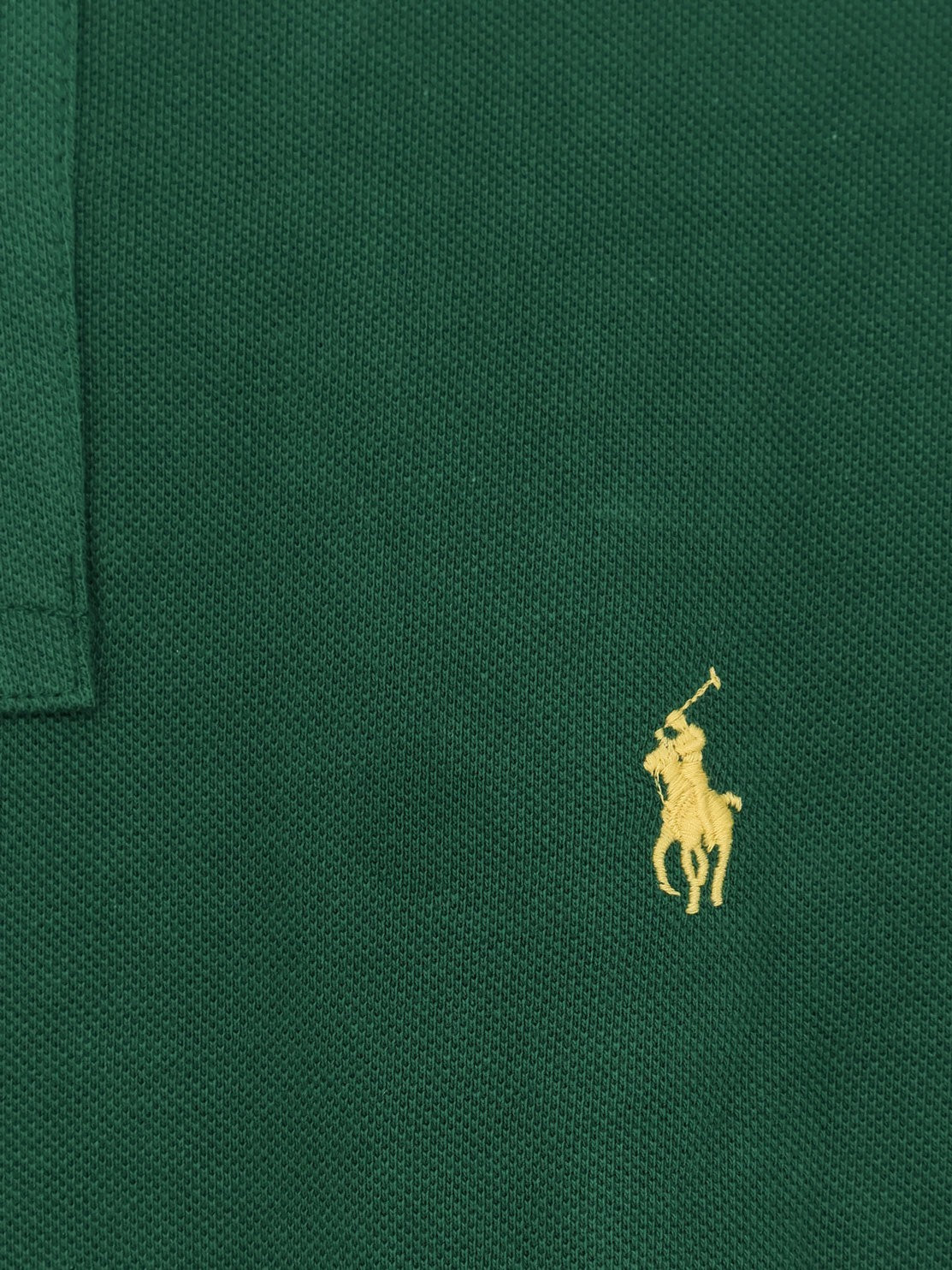 Polo Ralph Lauren - Man - Green - Polo Shirt