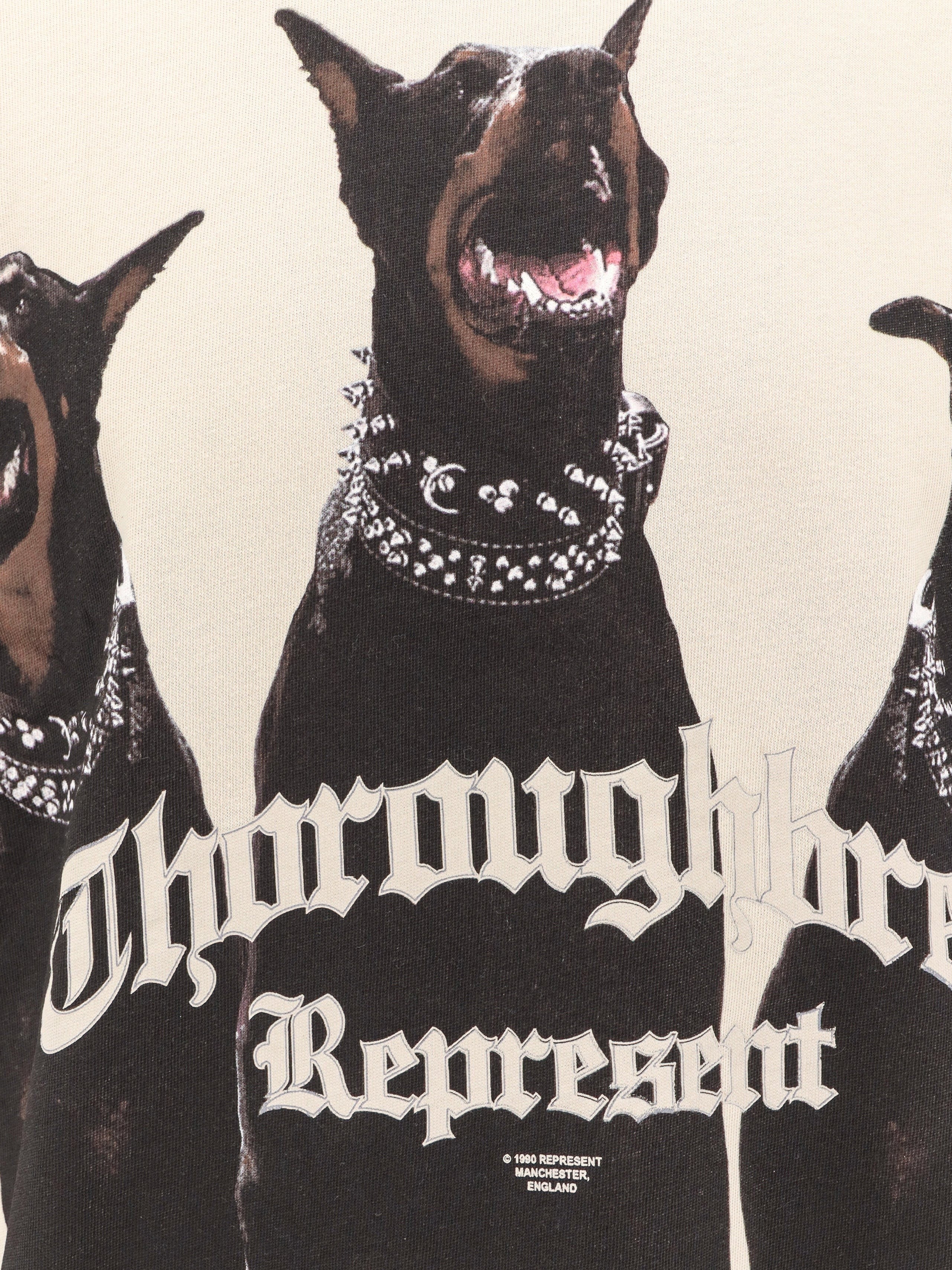 Represent - Man - White - T-shirt