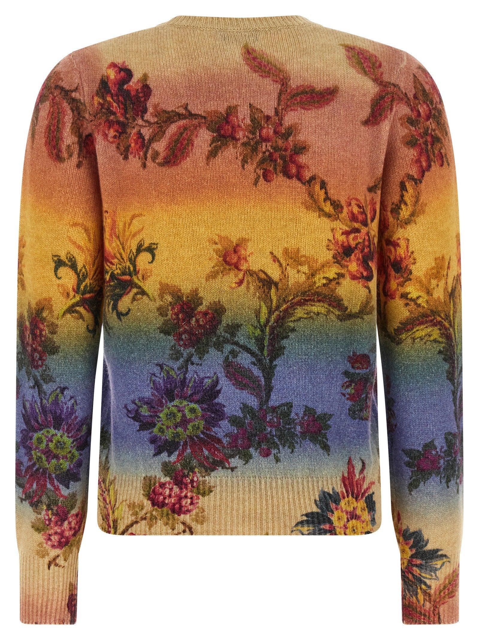 Etro - nan - Multicolor - Sweater