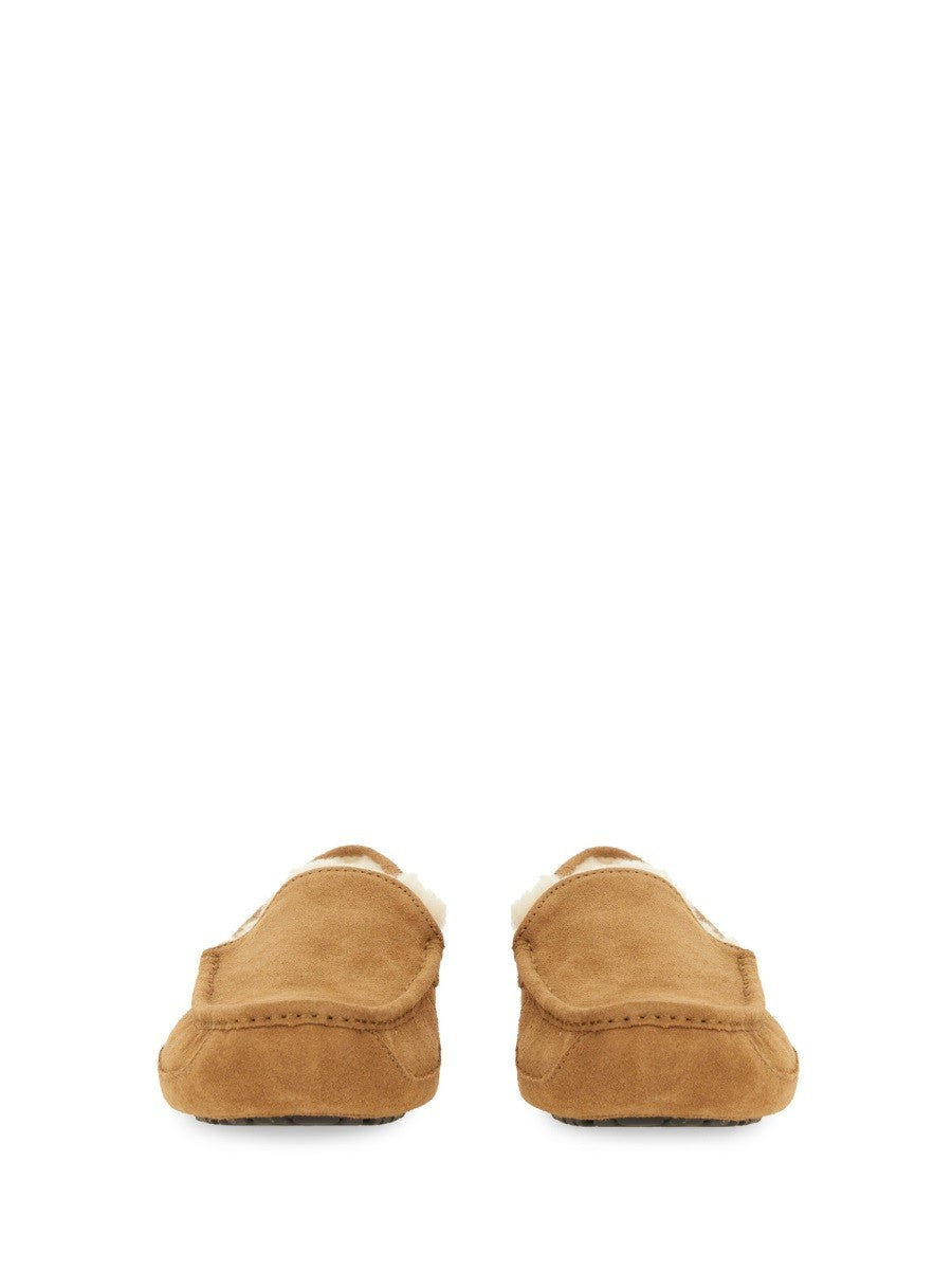 Ugg - Man - Brown - Loafer