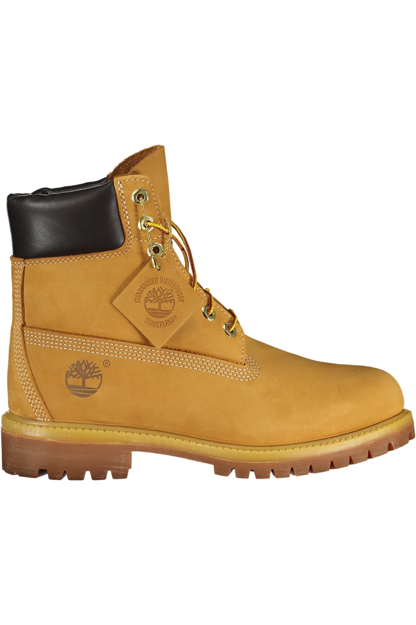 TIMBERLAND - Man - Boot